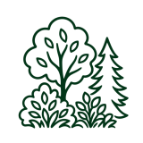 Trees and Shrubs Icon Parkhill Garden Centres 600